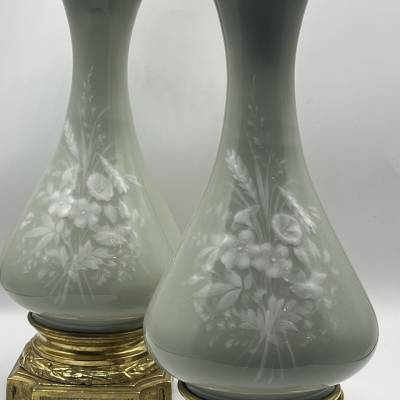 Paire de lampes Céladon fleuri. XIXè